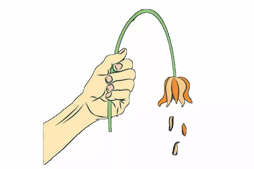 担心自己阳痿早泄不想结婚怎么办?