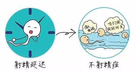 射精障碍原因,射精障碍危害,射精障碍医院,射精障碍治疗,射精障碍药物