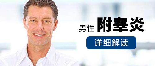 附睾炎图片,附睾炎症状,附睾炎治疗,附睾炎用药,附睾炎原因