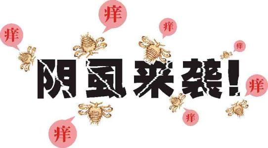 阴虱的危害,阴虱的症状,阴虱的治疗,阴虱的诱因